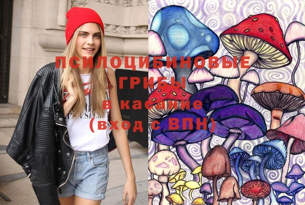 прущие крисы Сатка