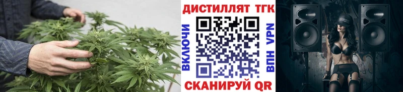Дистиллят ТГК гашишное масло  МЕГА зеркало  Зима 