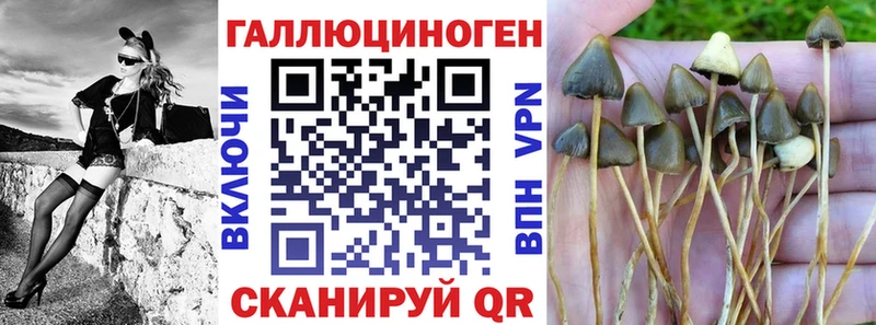 Галлюциногенные грибы мицелий  Зима 